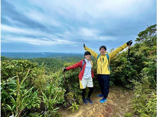 【沖縄・やんばる】世界自然遺産の森をトレッキング！！完全プライベートツアー　3時間コースの画像