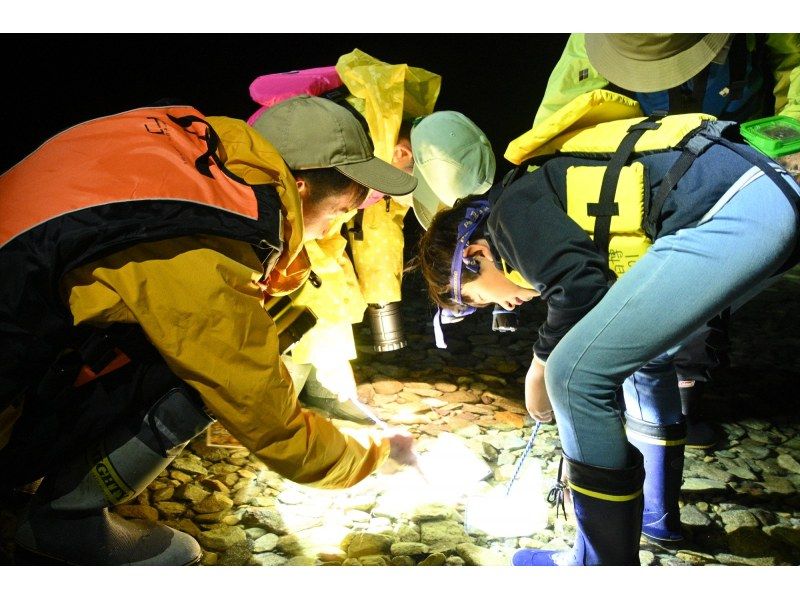 【北海道・SUP体験】透明度の高い支笏湖の湖面をクルージング！SUP体験（半日コース）の画像