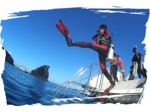 【沖縄本島・慶良間・チービシ】ファンダイビング 2ボートの画像