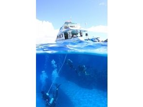 【沖縄 粟国島・渡名喜島】ファンダイビング 離島遠征2ボートの画像