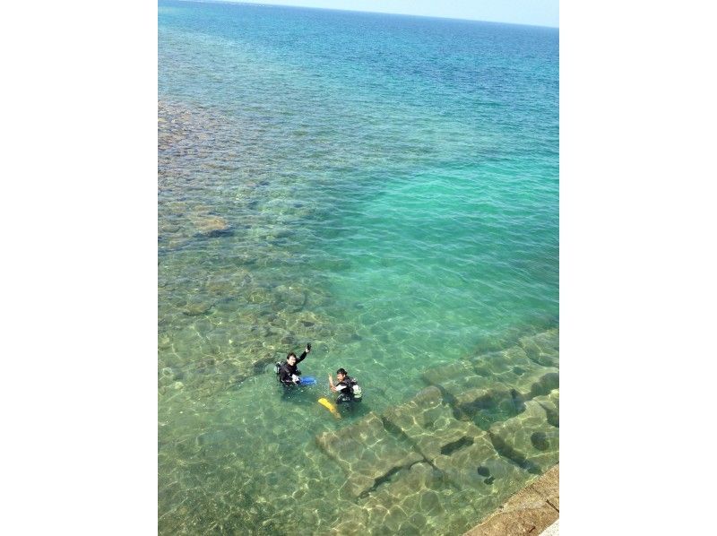 海に潜った気分になれる癒しの鹿児島本土の海中オンライン体験 アクティビティジャパン