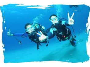 【沖縄本島・慶良間・チービシ】リフレッシュダイビング 2ボートの画像