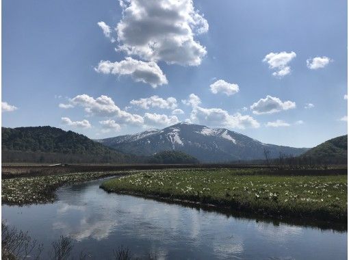 【AJ特典あり】大人気「尾瀬ヶ原」トレッキング1日ツアー＊群馬県の画像