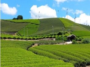 【京都・和束】五感でお茶を堪能！宇治茶の郷でガイド付き茶畑ウォーキング＆和束茶でほっこり！茶団子付きの画像