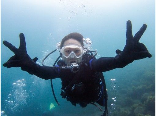 [Shizuoka Prefecture Nishiizu 1 experience Diving] Diving debut in the sea of Ida full of fish! Shooting data Free gift included 10 years more 1 person allowed About 3 hoursの画像