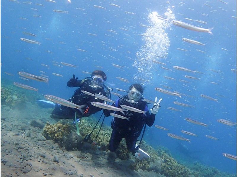 [Shizuoka Prefecture Nishiizu Experience Diving 2] Diving debut in the sea of Ida full of fish! Shooting data Free gift included 10 years more 1 person allowed About 5 hoursの紹介画像