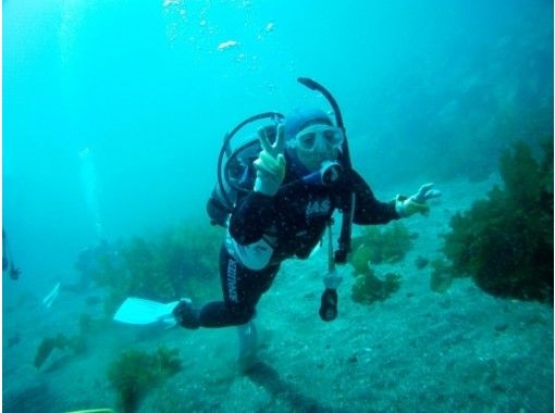 [Shizuoka Suruga] diving license! Basic Course [PADI Open Water]の画像