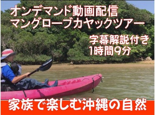 オンデマンド動画配信 マングローブカヤックツアー