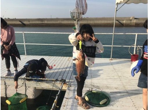 【熊本・天草市】イルカウォッチング＆釣り堀セットプランの画像