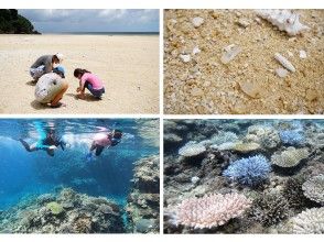 【石垣島・１組限定】お子さんも楽しめる！天然クリスタル探し＋珊瑚シュノーケリングツアーの画像