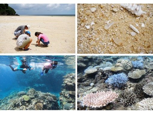 [Ishigaki Island, limited to one group] Children can also enjoy! Looking for natural crystals + coral snorkeling tourの画像