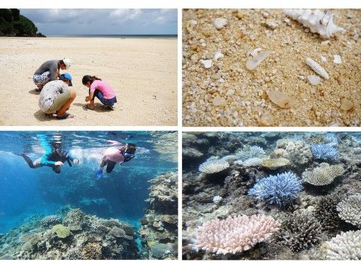 【石垣島・１組限定】天然クリスタル探し＋珊瑚シュノーケリングツアーの画像