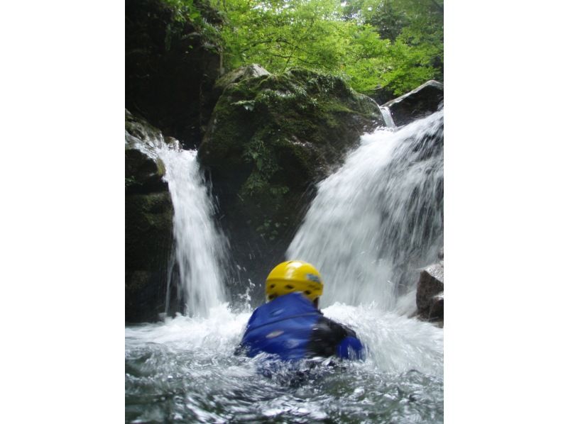 [Shiga] Japan's 100 best waterfalls! Yatsubuchi Falls shower climbing (half-day B course) 11:00 meeting point ≪SC-2≫の紹介画像