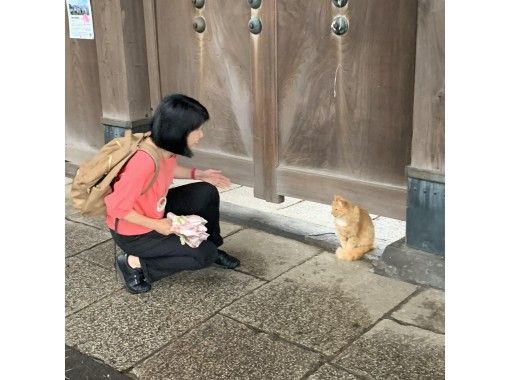 東京谷中 フォト散歩 下町グルメ 猫 猫グッズ探検 グループ貸切ok あなたのお好みプランに アクティビティジャパン