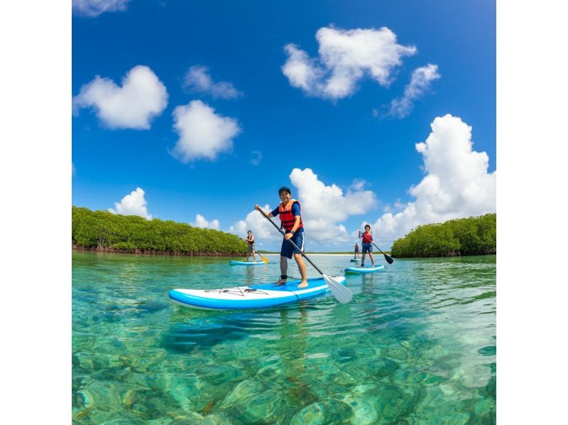 [Okinawa/Ishigaki Island] ★Famous Kabira Bay/Mangrove SUP★ Snorkel with Plus! Free equipment, parking, facilities, and showers [Available for local coupons]の紹介画像