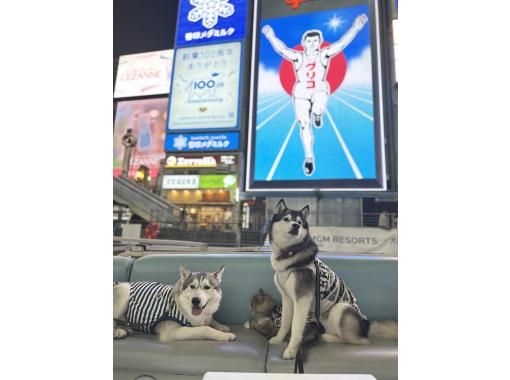 【大阪・道頓堀】貸切50分ロングクルーズ！！飲食物の持ち込みもOK！の画像