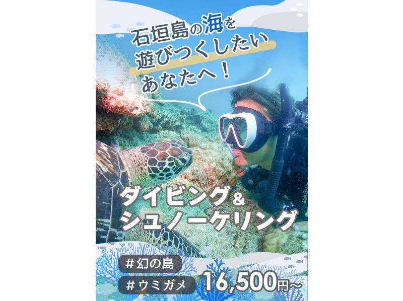 ＜初心者専門＞最新機種で写真、動画撮影！- 幻の島＆ウミガメポイントへ行くダイビング＆シュノーケリング