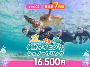 【石垣島・7時間】その日のベストスポットへ！幻の島・マンタ・ウミガメ・珊瑚から選りすぐりで満喫ダイブ＆シュノーケル_d02
