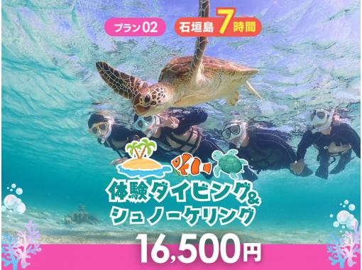 【石垣島・7時間】その日のベストスポットへ！幻の島・マンタ・ウミガメ・珊瑚から選りすぐりで満喫ダイブ＆シュノーケル_d02の画像