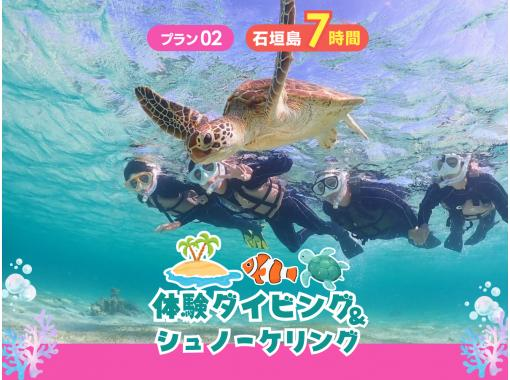 【石垣島・7時間】その日のベストスポットへ！幻の島・マンタ・ウミガメ・珊瑚から選りすぐりで満喫ダイブ＆シュノーケル_d02の画像
