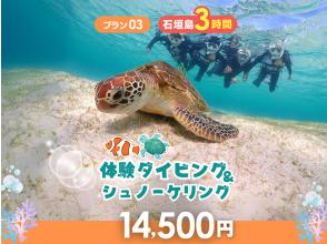 【石垣島・3時間】はじめてでも安心♪ 体験ダイビング＆ウミガメシュノーケル｜専属ガイド・送迎＆写真データ付き｜マンタとの出会いも！？_d03