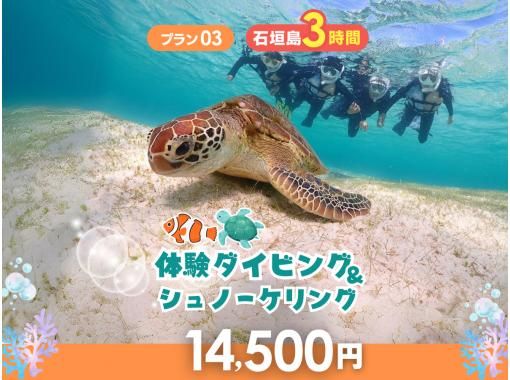 【石垣島・3時間】はじめてでも安心♪ 体験ダイビング＆ウミガメシュノーケル｜専属ガイド・送迎＆写真データ付き｜マンタとの出会いも！？_d03の画像