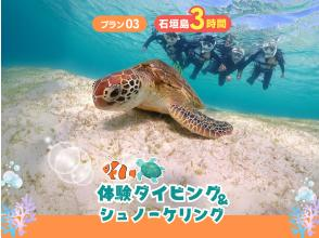 初學者海上服務 太陽魚石垣島