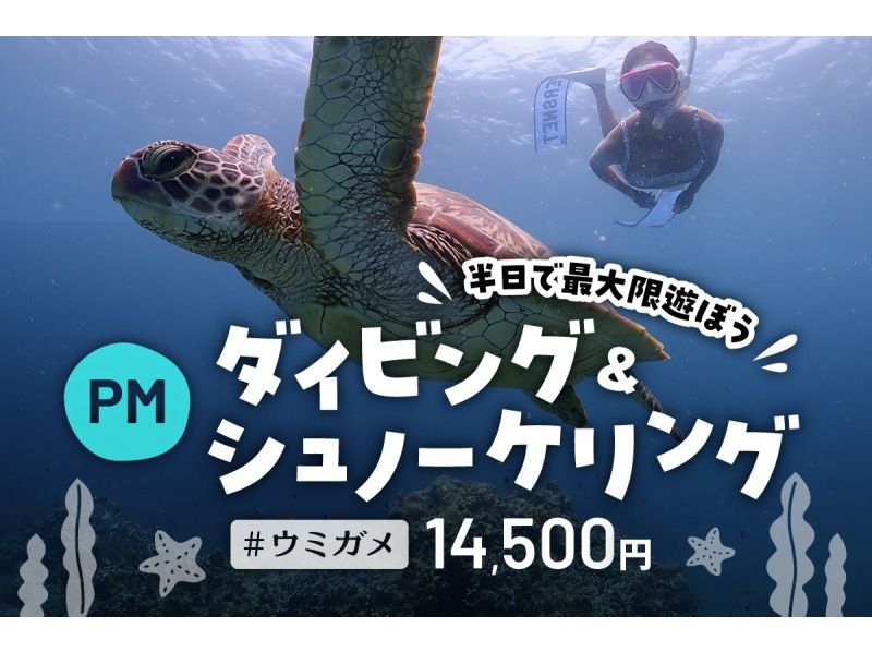 [Autumn sale underway] [Ishigaki Island/half day] Beginners welcome! The ultimate diving and snorkeling experience - a dream combo plan to swim with sea turtles!の紹介画像