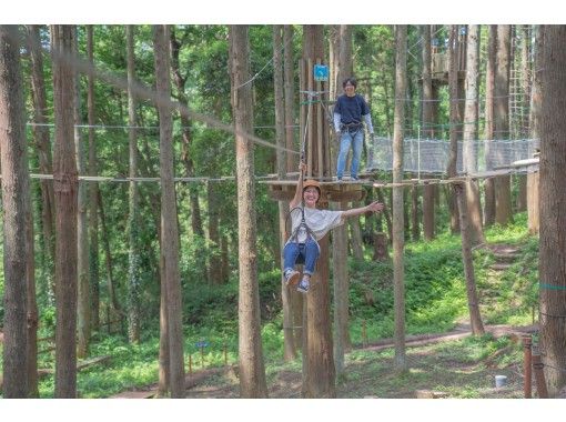 [Chiba /Nagara Town] <キャノピーコース> Why don't you play in the forest with a couple/family/friends? Beginners welcome!の画像
