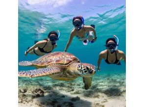 [Okinawa/Ishigaki Island]★You can also practice sea turtle skin diving (free diving)! Equipment, parking, facilities, and showers are free! SS  