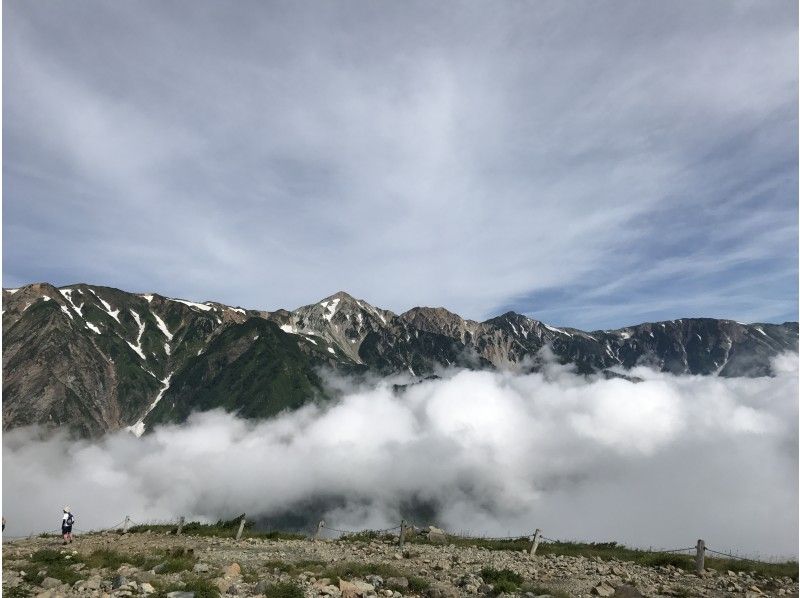 【白馬・長野】高山植物観察と八方池トレッキング(1組限定日帰り)の紹介画像