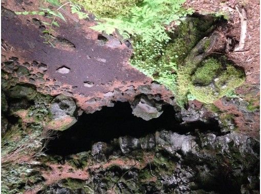 [Fujisan foot / exploration tour] Explore the lava cave created by the eruption of Mt. Fuji! Cycling tour with MTB!の画像