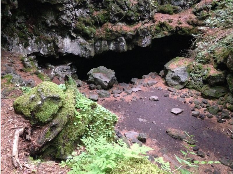 [富士山脚/探索之旅]探索由富士山喷发而形成的熔岩洞穴！与山地车骑行之旅！の紹介画像