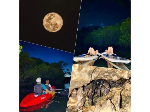【石垣島/ナイトサファリ】星空鑑賞&神秘的なマングローブをカヌーorSUP体験✨上陸し様々な生物に巡り逢える冒険ツアー‼️完全初心者向け✨の画像