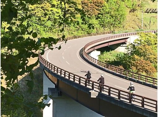 [Hokkaido /Niseko] Niseko Panorama Downhill e-bike Tour (Niseko Course)の画像