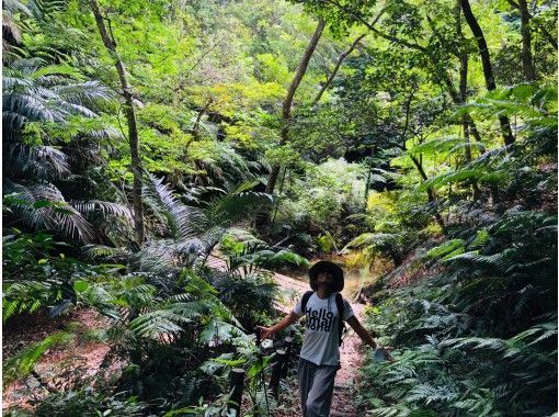 【沖縄・恩納村】亜熱帯植物が生い茂る森へ森林浴+トレッキングの画像