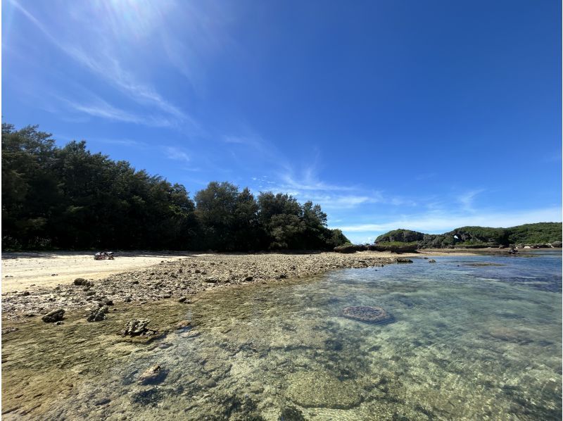 【北海道・SUP体験】透明度の高い支笏湖の湖面をクルージング！SUP体験（半日コース）の画像