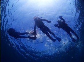 経験者向けプラン！本格的器材を借りて自由に1日シュノーケリング