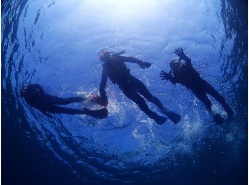 経験者向けプラン！本格的器材を借りて自由に1日シュノーケリングの画像