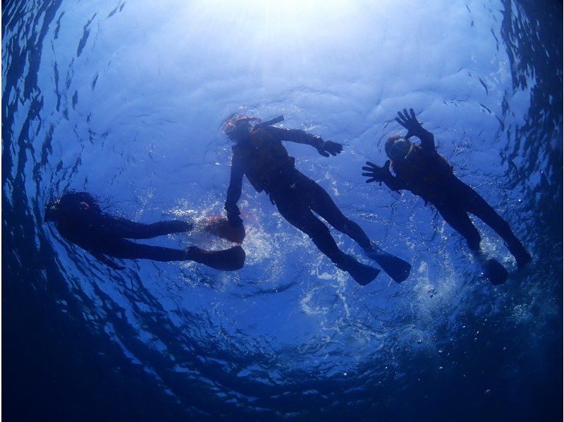 経験者向けプラン！本格的器材を借りて自由に1日シュノーケリングの紹介画像