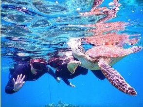 Ishigakijima Super Summer Sale 2024 Same-day reservations OK Sea turtle discount rate 95% Free tour photos Blue cave exploration & sea turtle snorkeling with transportation