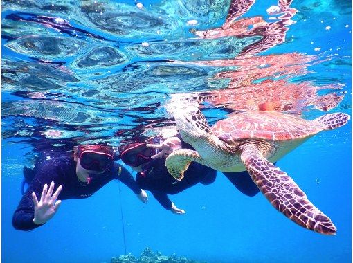 石垣島 當日預訂 OK 海龜折扣率 95% 遊覽照片免費贈送 藍洞探險 & 海龜浮潛 含交通の画像