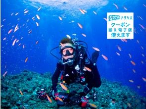 宮古島 伊良部島 下地島 来間島 池間島 の体験ダイビング 初心者ok 体験 ツアーのアクティビティ 遊び 体験 レジャーの格安予約 アクティビティジャパン 日帰り旅行