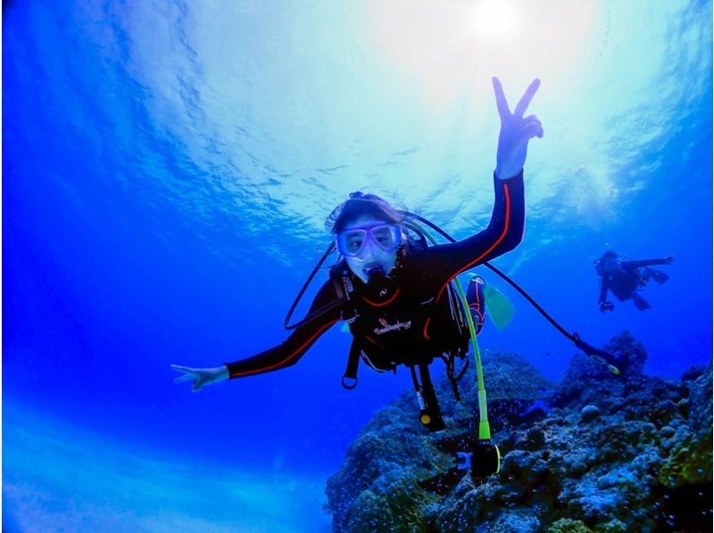 宮古島初學者潛水體驗之旅人氣排名及評論資訊！