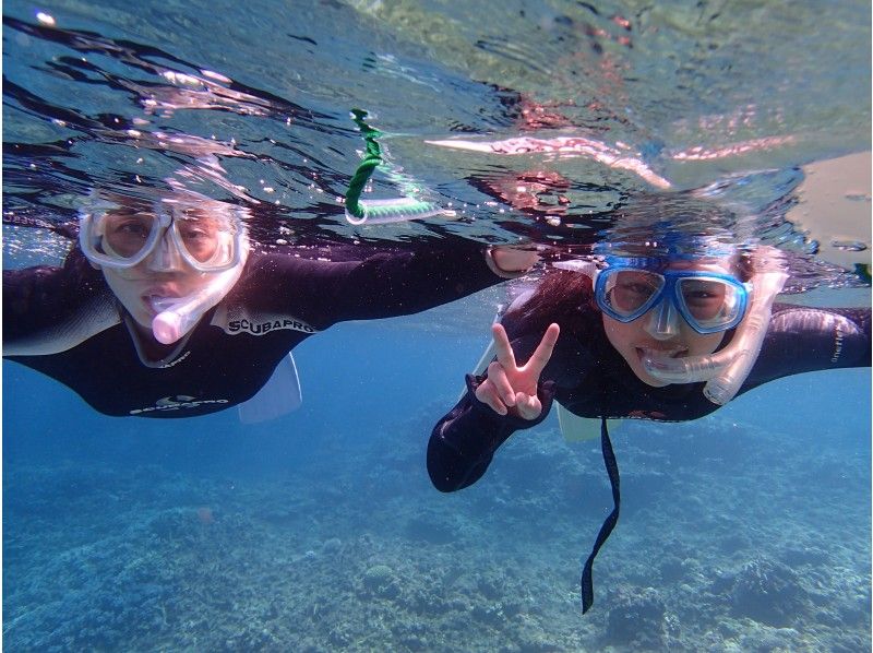 【沖縄・石垣島】家族や友達、みんなで世界有数のサンゴ礁広がる海を楽しもう！シュノーケリング3時間の紹介画像