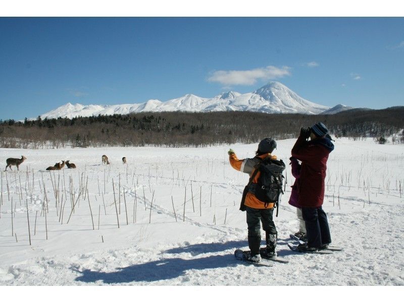 【北海道・知床】冬の知床自然体験1日コース「スノーシュー・流氷ウォーク・冬の動物ウォッチング」