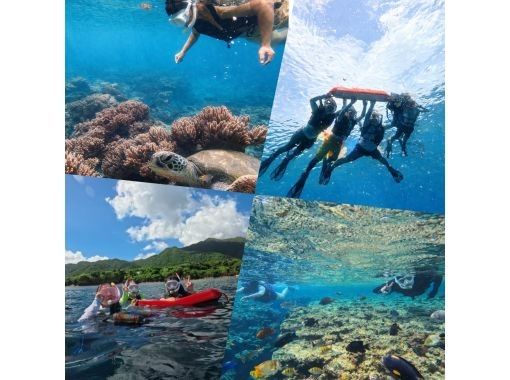 【石垣島】4月限定特別価格‼️島人ぞ知るウミガメが棲みつく隠れ珊瑚礁の海でシュノーケル体験✨シャワー・更衣室・駐車場完備✨写真・動画無料！の画像