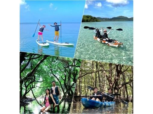 【石垣島•1組貸切】エメラルドグリーンの海✖️不思議な森マングローブ✖️上陸探索生き物探し✨ SUP orカヤック体験✨写真/動画無料！の画像