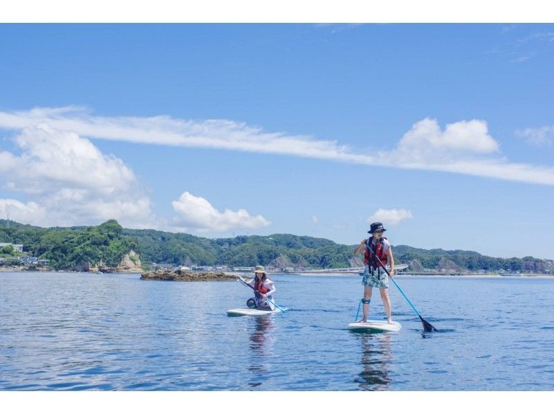 10th Anniversary Sale [Katsuura Quasi-National Park, Chiba] Excellent transparency! Enjoy SUP in the nature-rich Katsuura Bay! SUP experience tour for beginners ♪の紹介画像