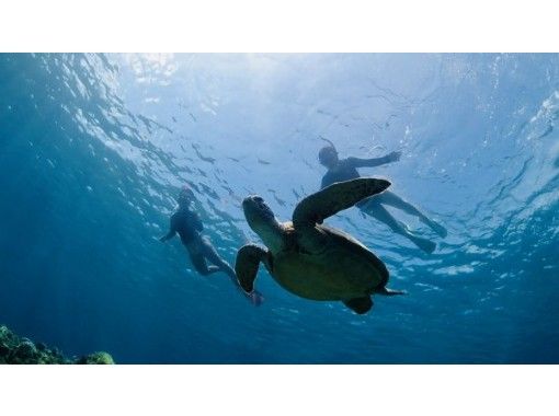 【沖縄・座間味村・阿嘉島・90分】慶良間諸島［世界が恋する海］の海亀シュノーケル☆ビーチエントリー☆写真データ＆レンタル無料